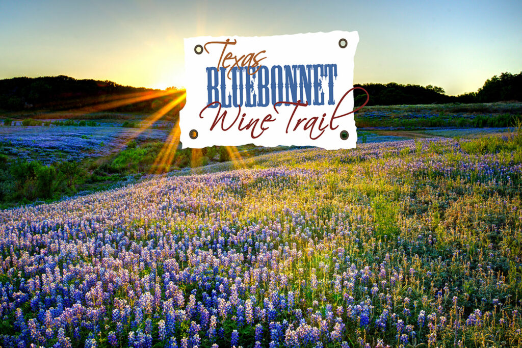 About The Texas Wine Trail Texas Wine Trail
