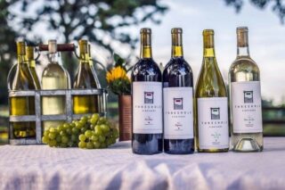 𝐀𝐧𝐧𝐨𝐮𝐧𝐜𝐢𝐧𝐠 𝐨𝐮𝐫 𝐍𝐄𝗪𝐄𝐒𝐓 𝐦𝐞𝐦𝐛𝐞𝐫 𝐰𝐢𝐧𝐞𝐫𝐲 🍷🎉🥂 Welcome @thresholdvineyards to the Texas Bluebonnet Wine Trail!

Threshold Vineyards is a family owned vineyard and winery located in the Brazos Valley, just a few miles off of the Brazos River. 

The Farm, as it is lovingly referred to in the family, was originally home to thousands of Virginia pine trees, operating as a choose-and-cut Christmas tree farm for many years.

The Christmas trees are gone now, but the family has tried their hand at growing everything from watermelons, apples and peaches, taking advantage of the excellent sandy loam soil here. 

In 2011, they planted the first grape vines, a white variety called Blanc Du Bois, and the vines took off. 

Make plans to visit our newest member winery while touring the February 2022 Wine Trail Passport event. Tickets are on sale NOW! Follow our Bio Link for all the details.
.
.
.
.
#texasbluebonnetwinetrail #texaswinetrail #uncorktexaswines #newwinery #winetrail #texaswine #txwine #texaswinery #texasvineyard #texaswinecountry #texaswinetour #winelover #uncorktexaswine #traveltexas #visittexas #texashighways #365hou #instawine #wine #winetime #collegestationtx #bryantx #plantersvilletx #navasotatx #montgomerytx #richardstx #brenhamtx #chappellhilltx #tourtexas